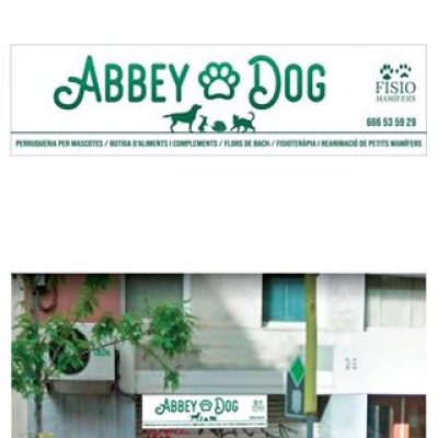 ABBEY-DOG